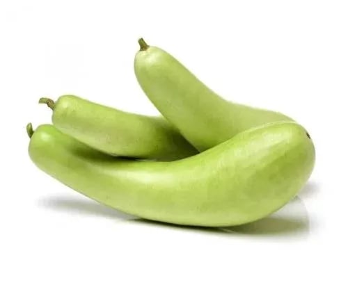 دباء عربي