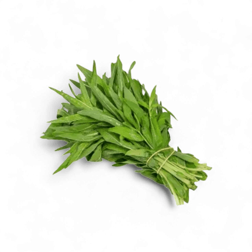 حبق (حبه)