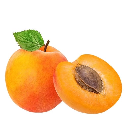 مشمش فرط