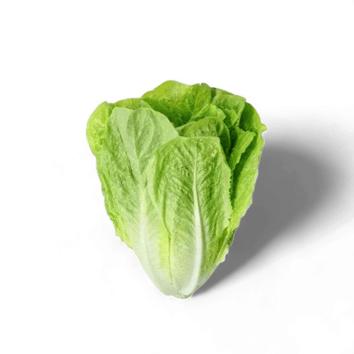 خس بلدي (حبه)
