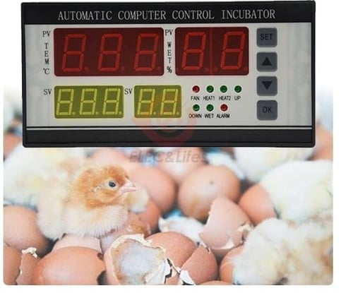 Xm-18 ، حاضنة تحكم البيض ، أوتوماتيكي