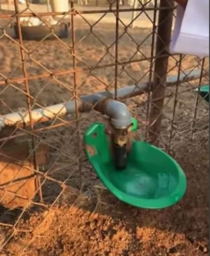 سقاية ذكية للأغنام والماعز - مشارب ماء عالية الجود...