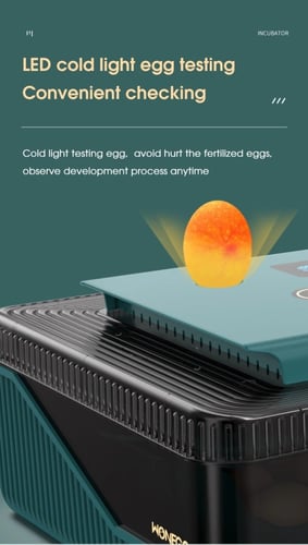 حاضنة البيض 25 بيضة للدواجن