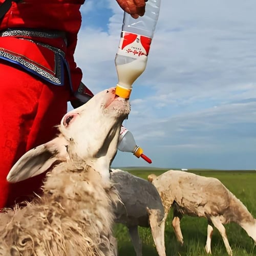 رضاعات سيليكون للحيوانات الأليفة - مجموعة 5