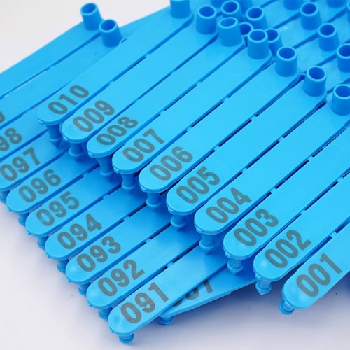 بطاقات بيرق الرواد لتعريف اذن الماشية