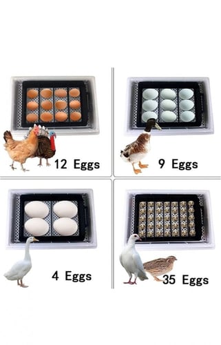 12 Egg Automatic Incubator with Smart Roller Syste...