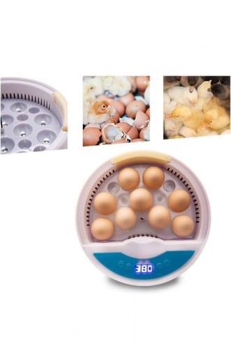 فقاسة بيض متطورة ALR-F009