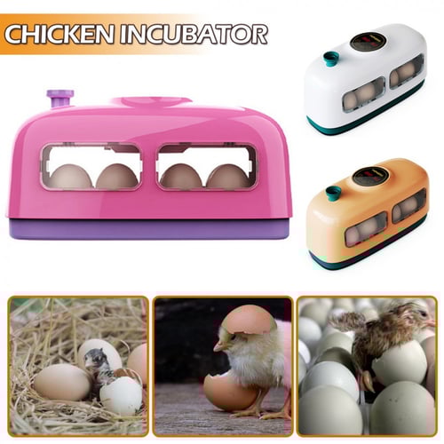 فقاسة بيض رقمية صغيرة لـ 8 بيضات - ALR-F008P