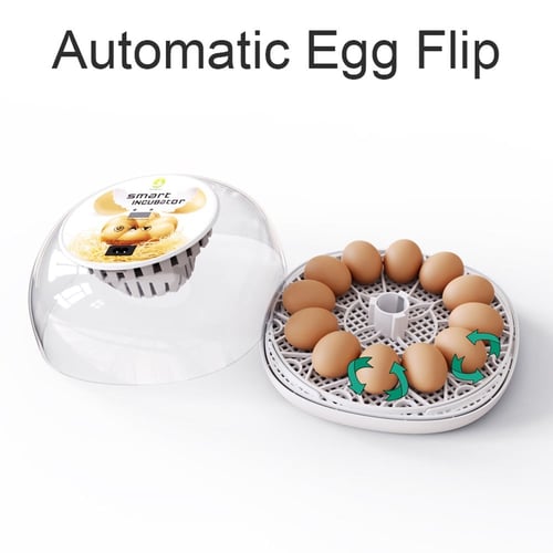 فقاسة بيض ذكية ALR-F00M12 - تحكم آلي في درجة الحرا...
