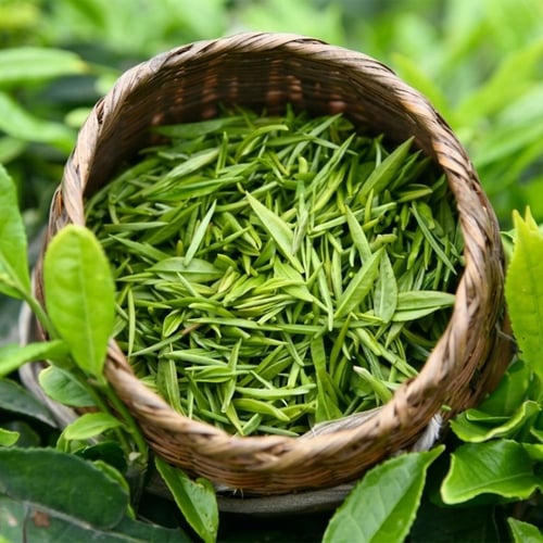 شاي الكيف الأصلي الأخضر الصيني الطبيعي 90 جرام