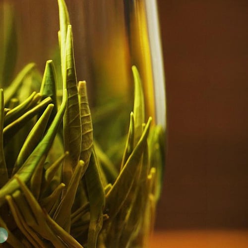 شاي الكيف الأصلي الأخضر الصيني الطبيعي 45 جرام