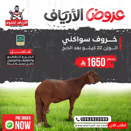 خروف سواكني حمري وزن لا يقل عن 22 ك بعد الذبح