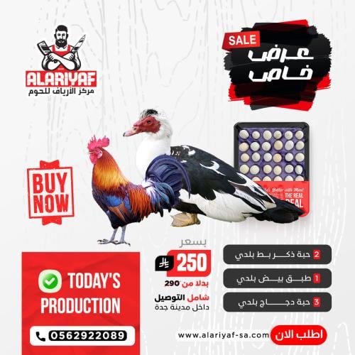 عرض خاص بط ودجاج بلدي