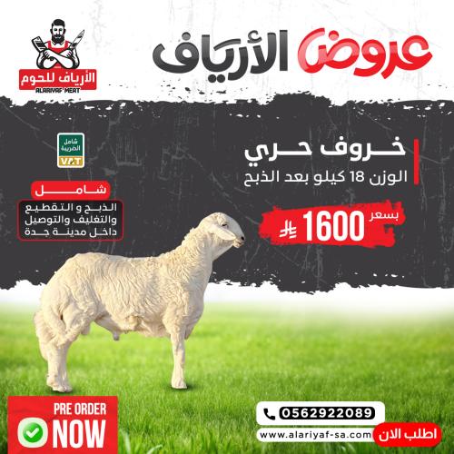 خروف حري كامل وزن لا يقل عن 18 ك بعد الذبح