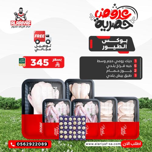 بوكس الطيور