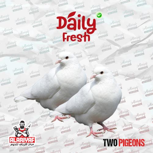 حمام فرنسي (زوج من الحمام)