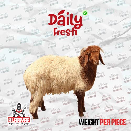 خروف نعيمي كامل وزن 30 كيلو بعد الذبح
