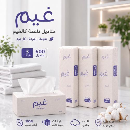بكج مناديل غيم 600 منديل 3 طبقات (24 عبوة )