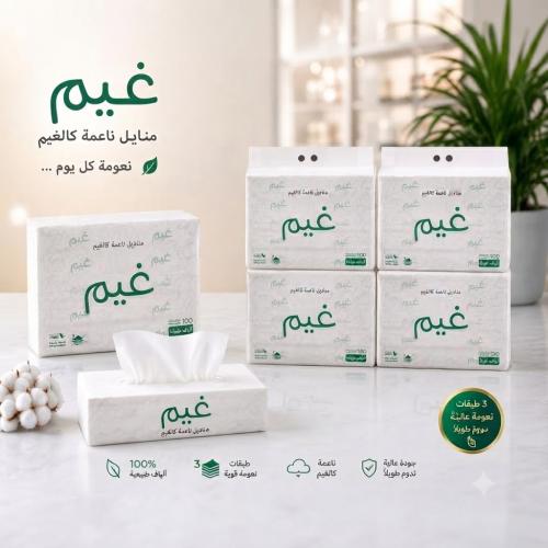 Gheem tissue pack 300 tissues single 3 layers (50...