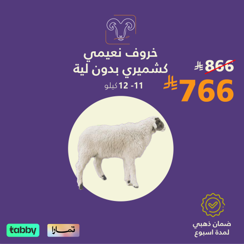 خروف نعيمي كشميري بدون لية 11-12 كيلو