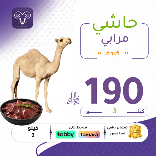 3 كيلو كبده حاشي مرابي