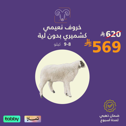 خروف نعيمي كشميري بدون لية 8-9 كيلو