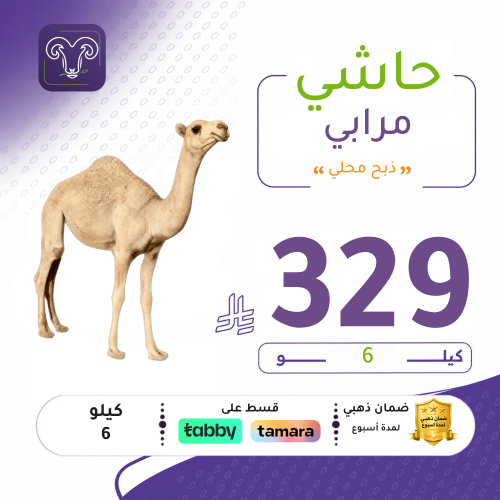 بوكس 6 كيلو حاشي تقطيع شوربة