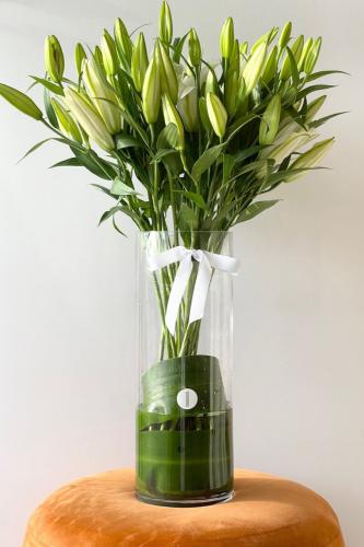 بهجة الزهور