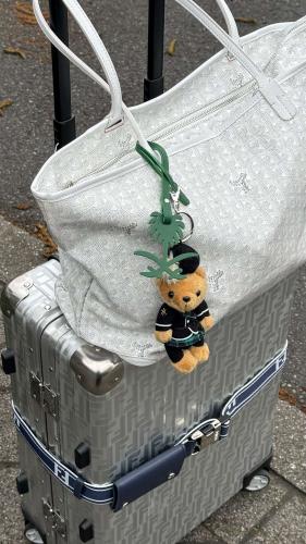 غويارد رمادي + ابيض حجم ( M )