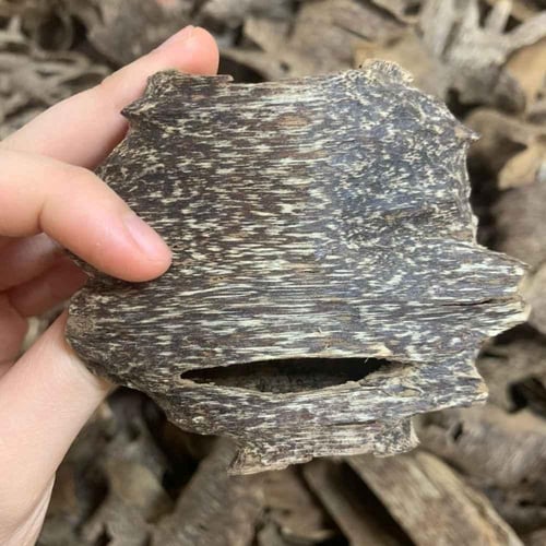 عود فيتنامي تربل سوبر