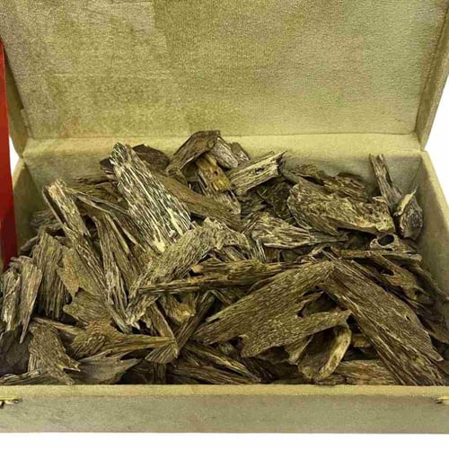 عود كلمنتان بونتيانك سوبر مرتفع