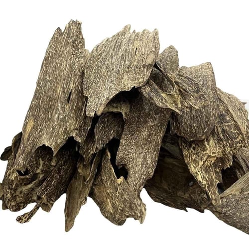 عود كلمنتان مالينو دبل سوبر