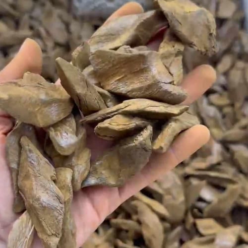 عود مروكي ملكي