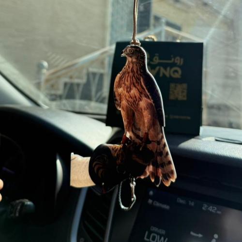 تعليقة صوره الصقر اكريلك