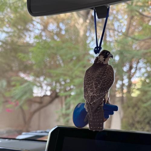 تعليقة صوره الصقر اكريلك