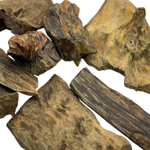 صندل أبو تمساح - سوبر وأعلى فاخر (قواقع + صك + تاي...