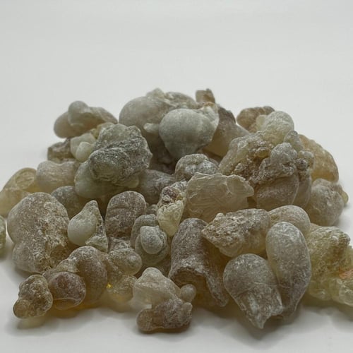 لبان ذكر عماني حوجري نخب أول قطفه اولى