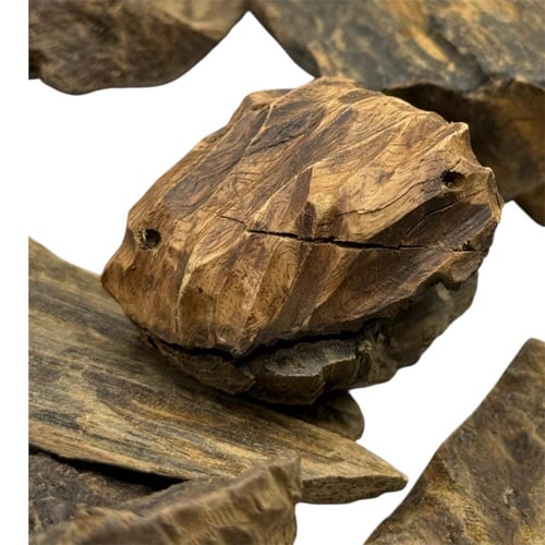 صندل أبو تمساح - سوبر وأعلى فاخر (قواقع + صك + تاي...