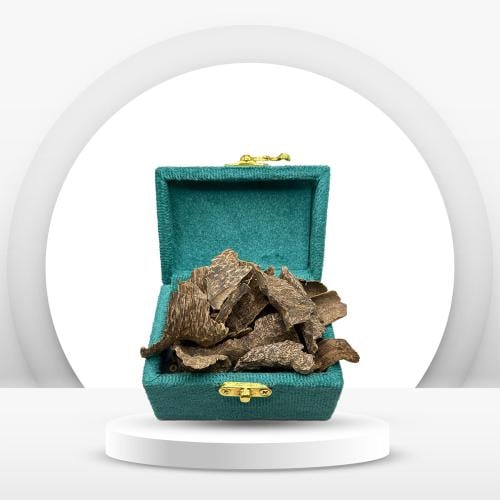 عود زوايا فيتنامي غابات دبل سوبر