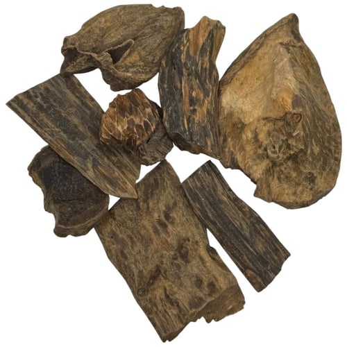 صندل أبو تمساح - سوبر وأعلى فاخر (قواقع + صك + تاي...