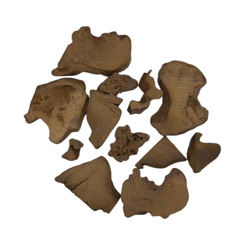 عود مروكي طبيعي دبل وتربل غابات أصقون قديم – قص صي...