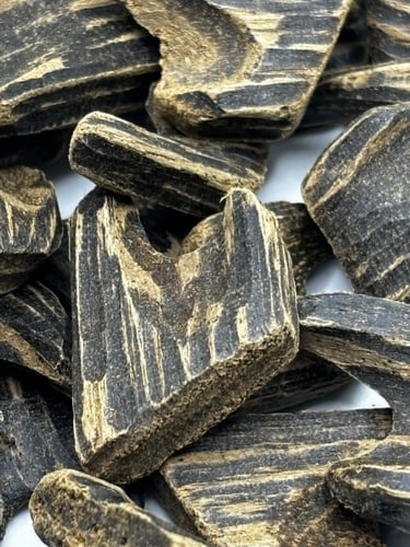 عود تري موري فيتنامي دبل سوبر