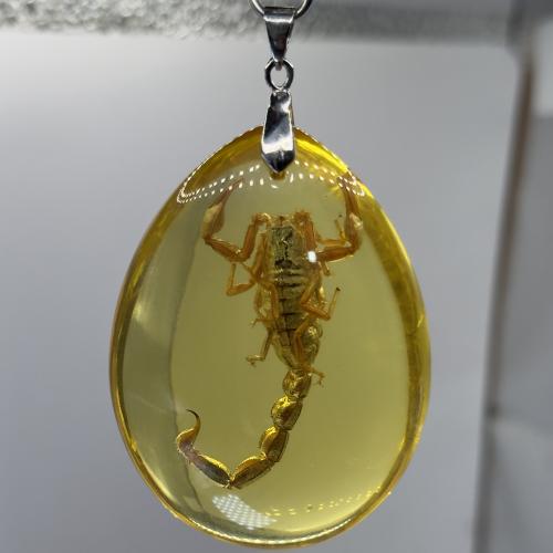 ميدالية من تراب الكهرمان محشر (عقرب) كامل