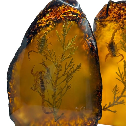 قطعة ديكور فسفورية من تراب الكهرمان المحشر من طيب...