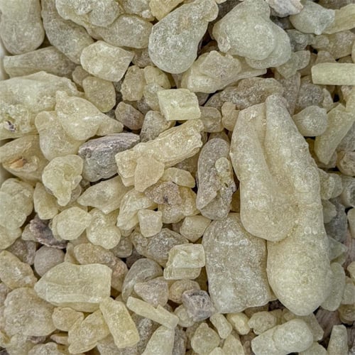 لبان ذكر عماني حوجري أصلي مسقى نكهة التوت البري