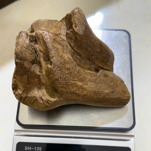 عود مروكي كسر مباخر حجم التربل