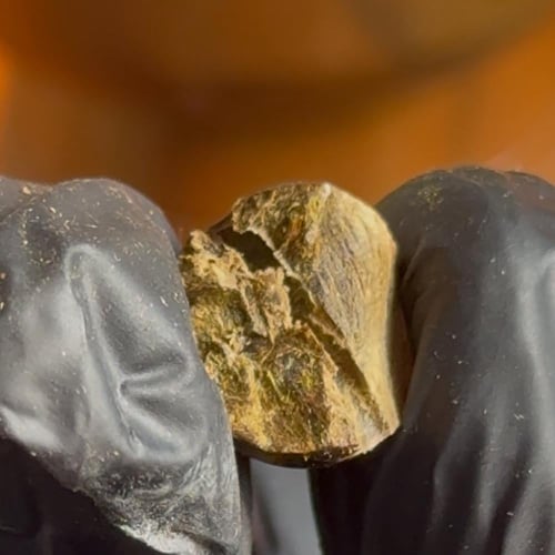 سبحة خشب صندل طبيعي – اندرووتر