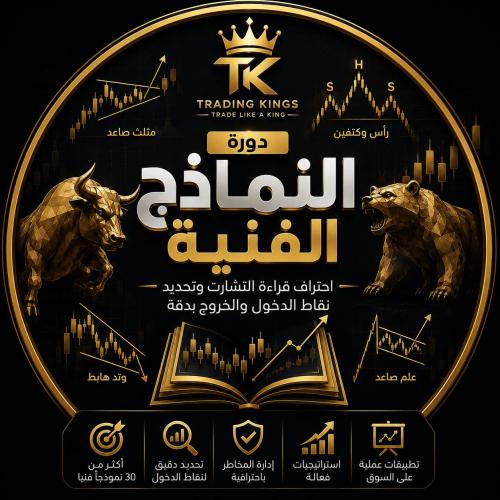 دورة النماذج الفنية