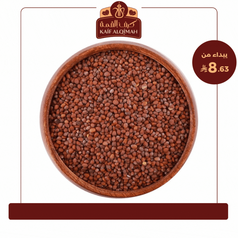 بذور الفجل