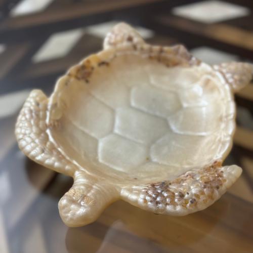 epoxy turtle